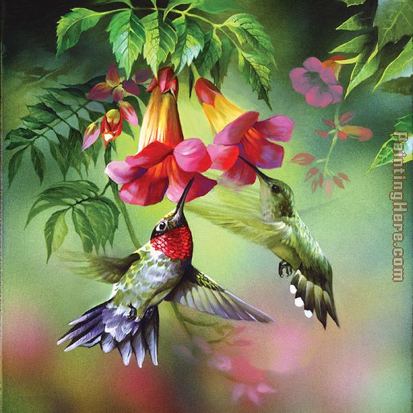 hummingbirds painting - Unknown Artist hummingbirds art painting